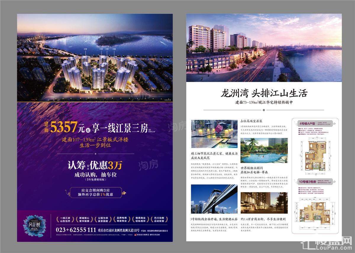 康利尔风花树效果图