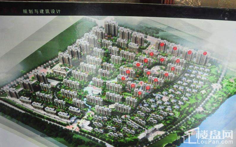 实景图