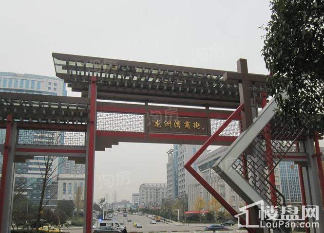 康利尔风花树配套图
