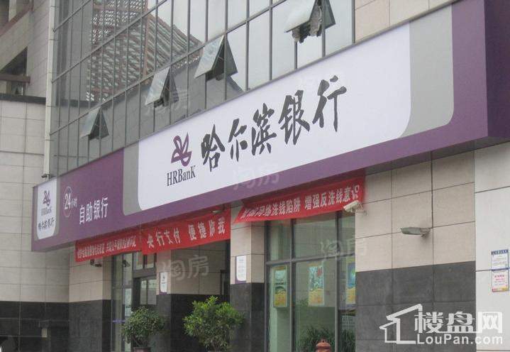 康利尔风花树配套图