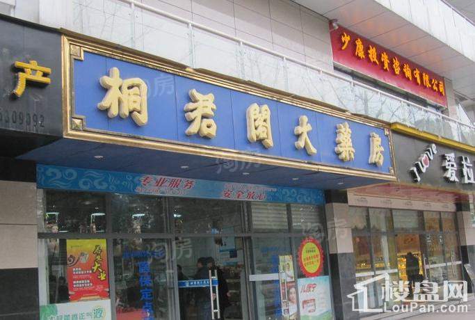 康利尔风花树配套图