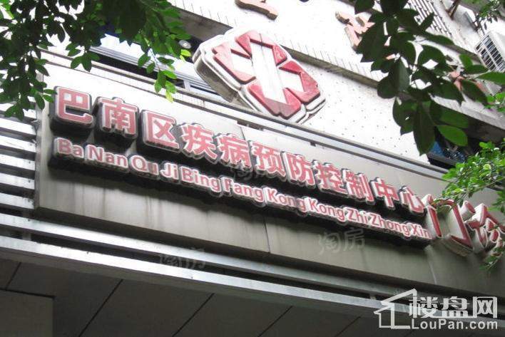 康利尔风花树配套图