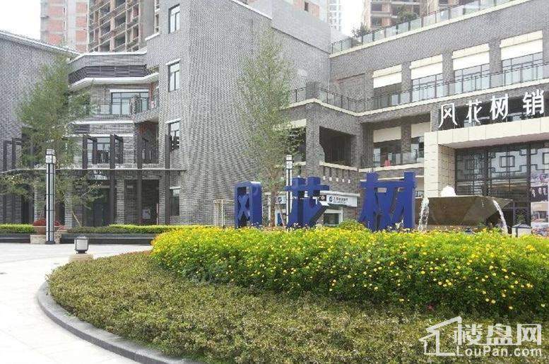 康利尔风花树实景图