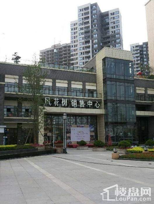 康利尔风花树实景图