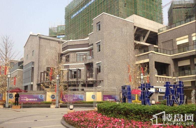 康利尔风花树实景图