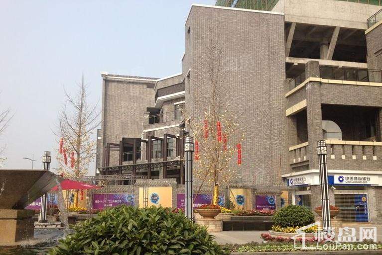 康利尔风花树实景图