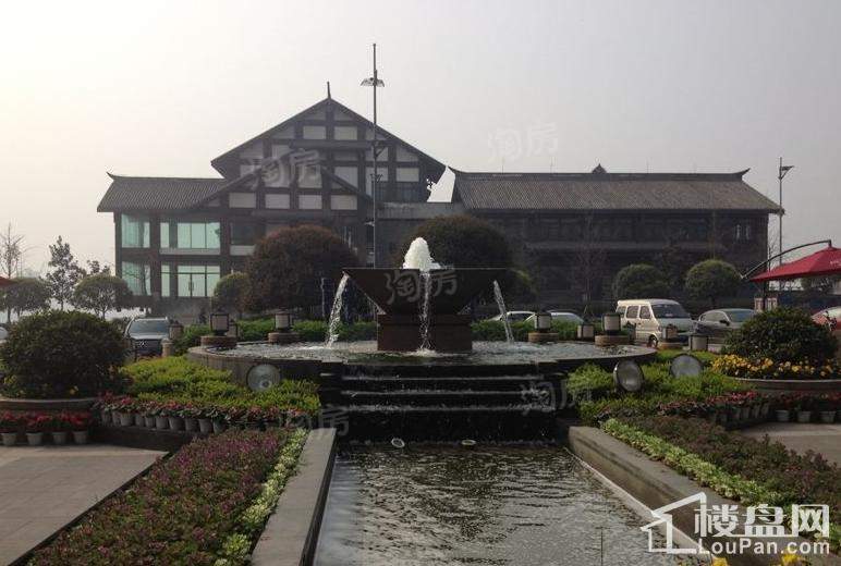 康利尔风花树实景图