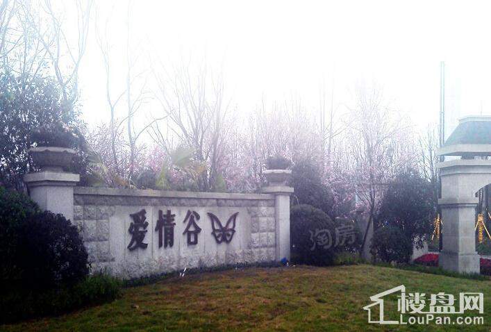 爱情谷实景图