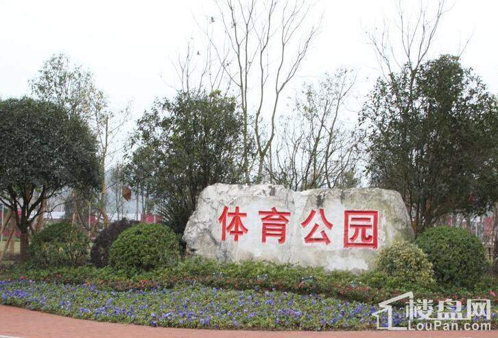 爱情谷配套图