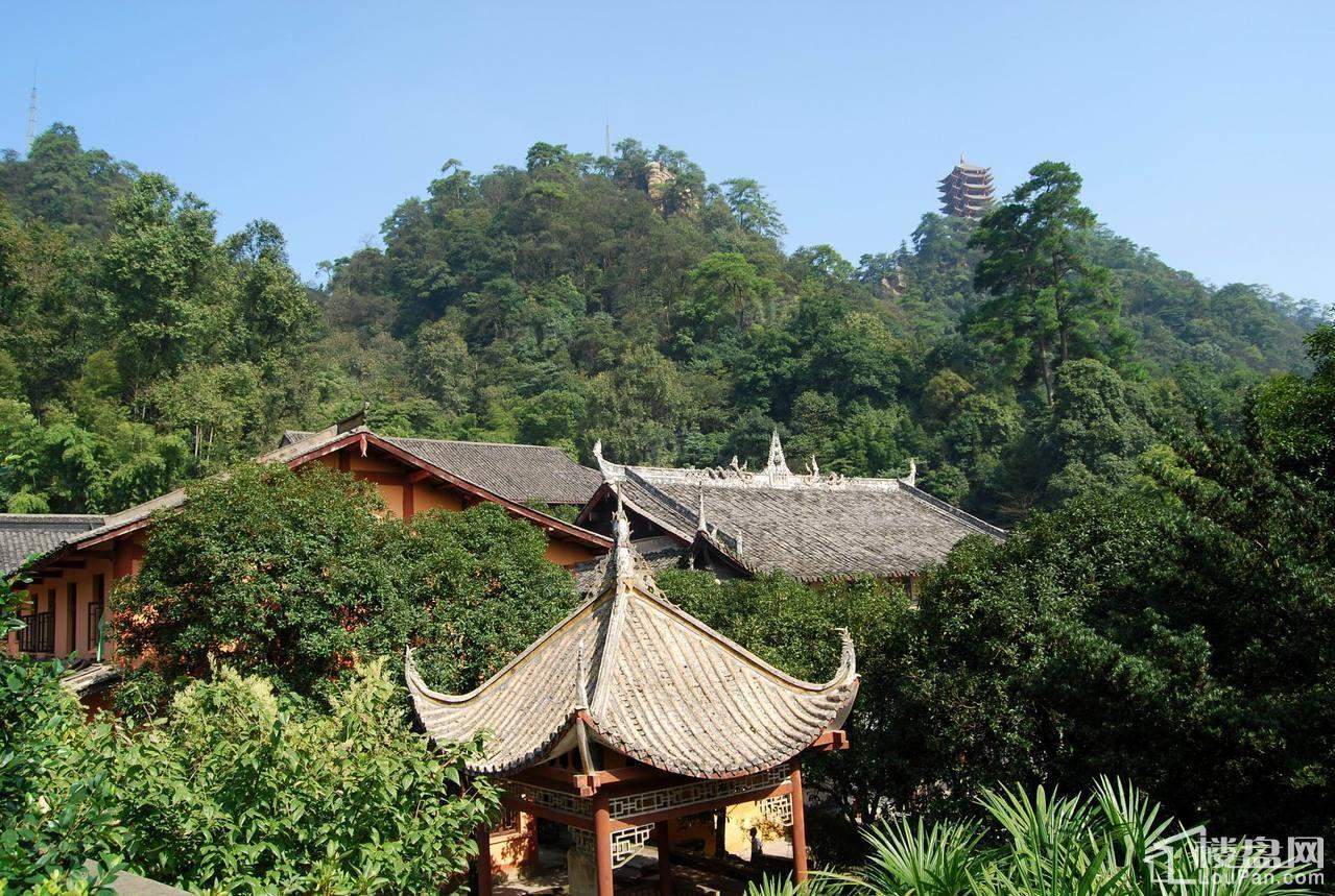 爱情谷配套图