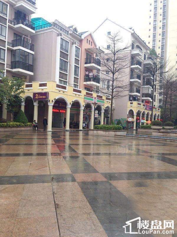 巴黎香醍实景图