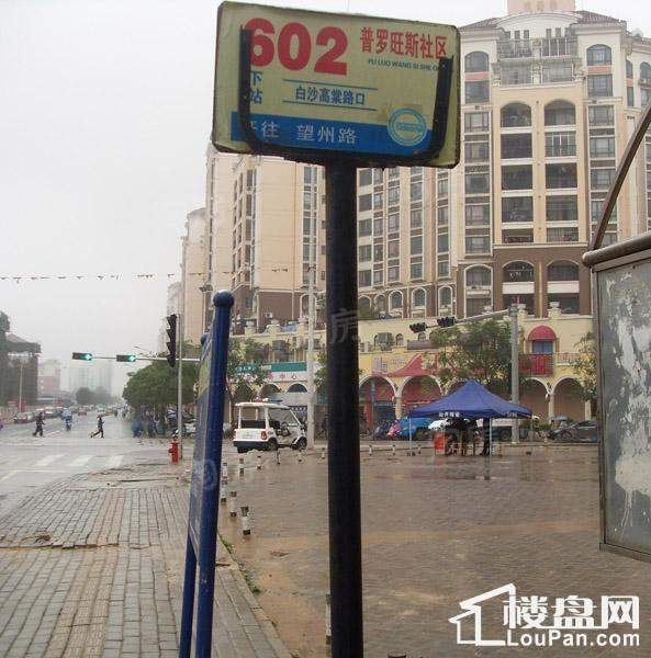 巴黎香醍实景图