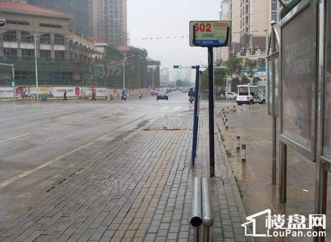 巴黎香醍实景图