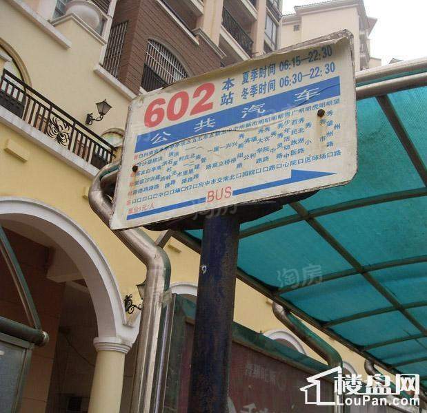 巴黎香醍实景图