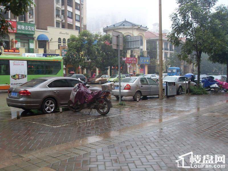 巴黎香醍实景图