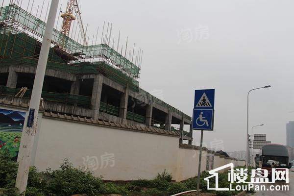 巴黎香醍实景图