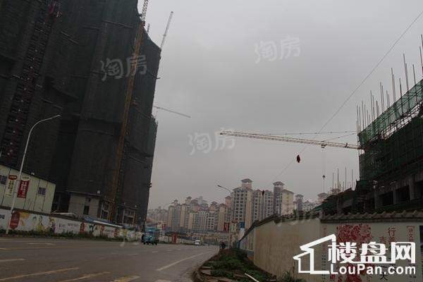 巴黎香醍实景图