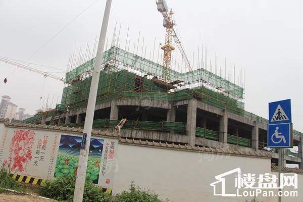 巴黎香醍实景图