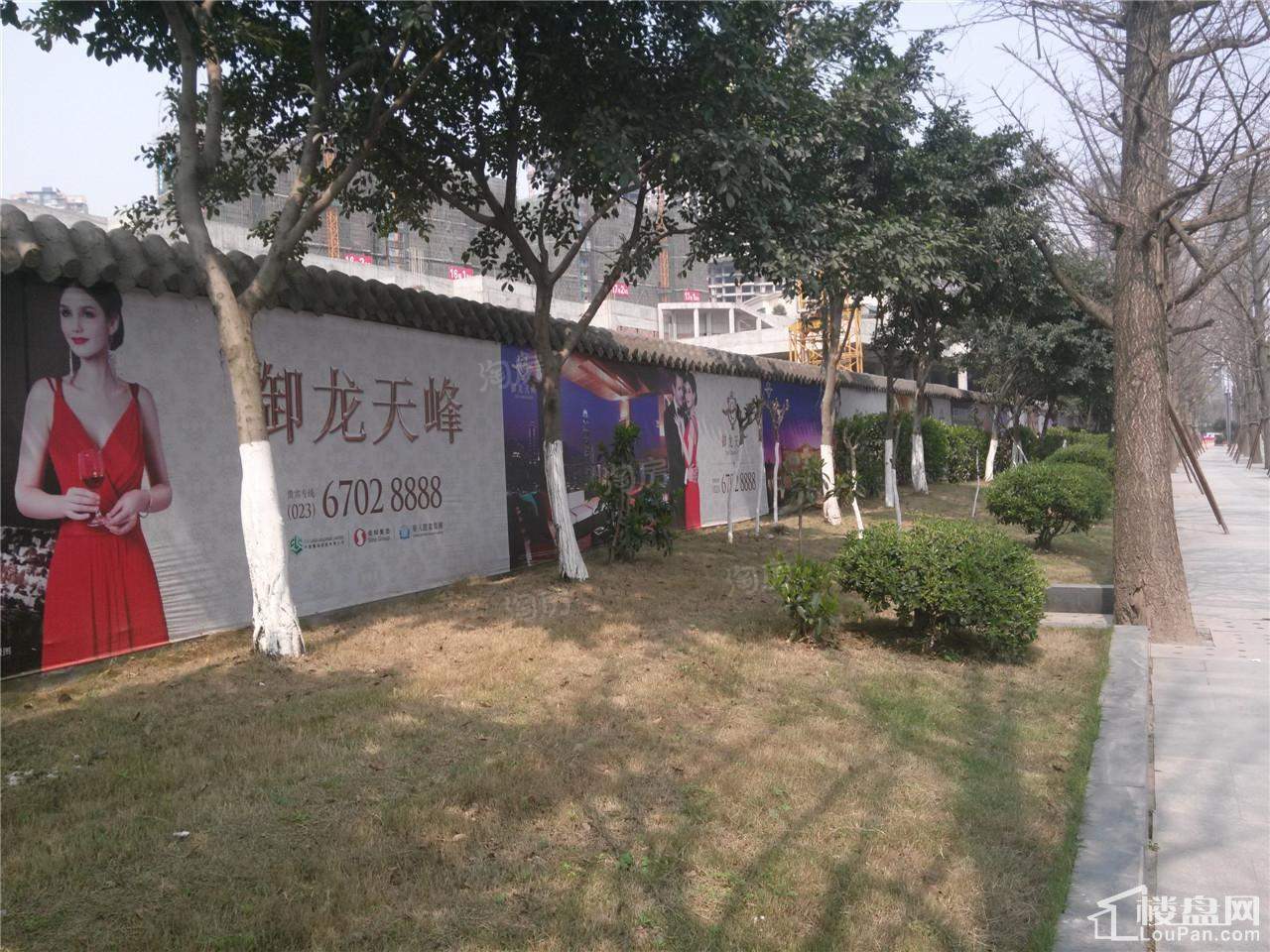 御龙天峰实景图