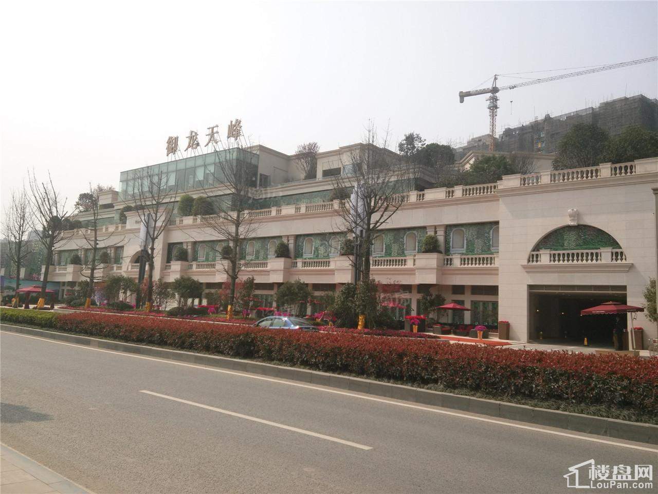 御龙天峰实景图