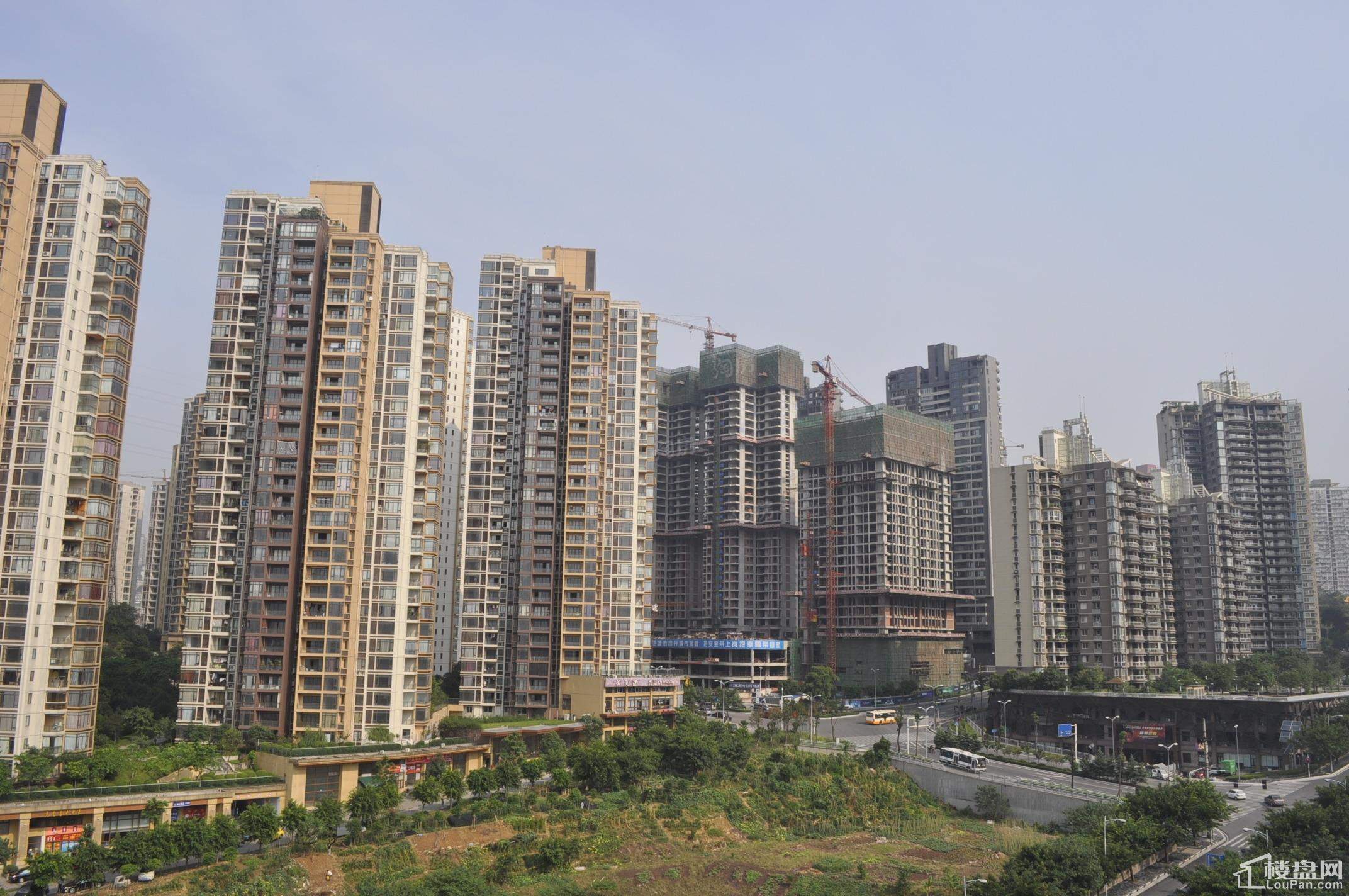 珠江国际实景图
