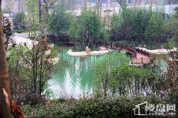 首开紫郡实景图