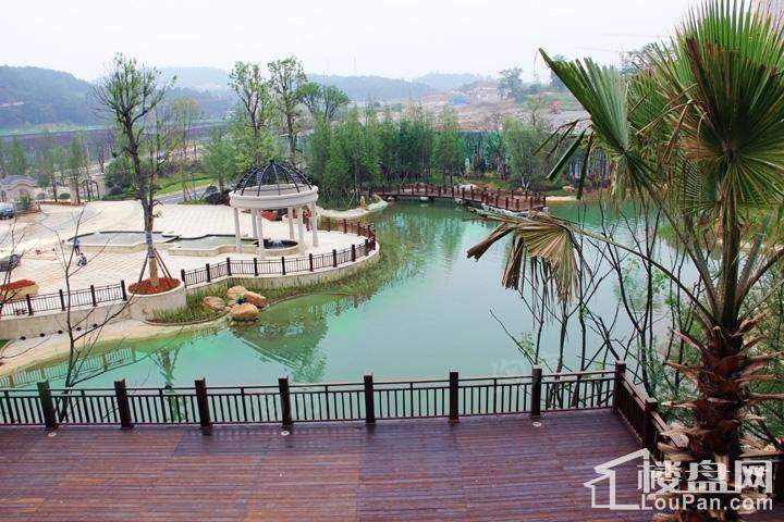 首开紫郡实景图