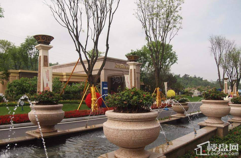 恒大照母山实景图