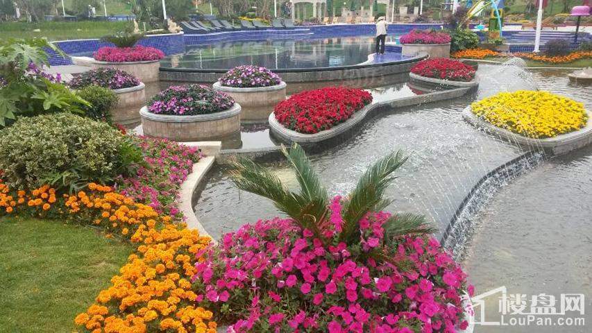 花溪碧桂园实景图