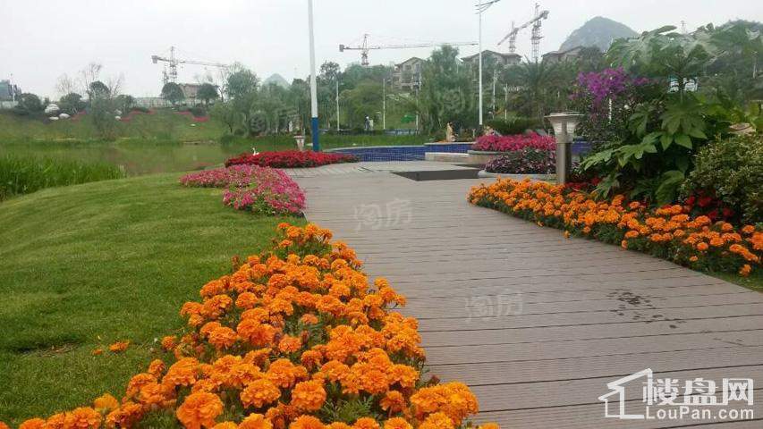 花溪碧桂园实景图