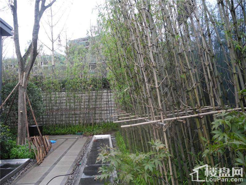 绿地海外滩实景图