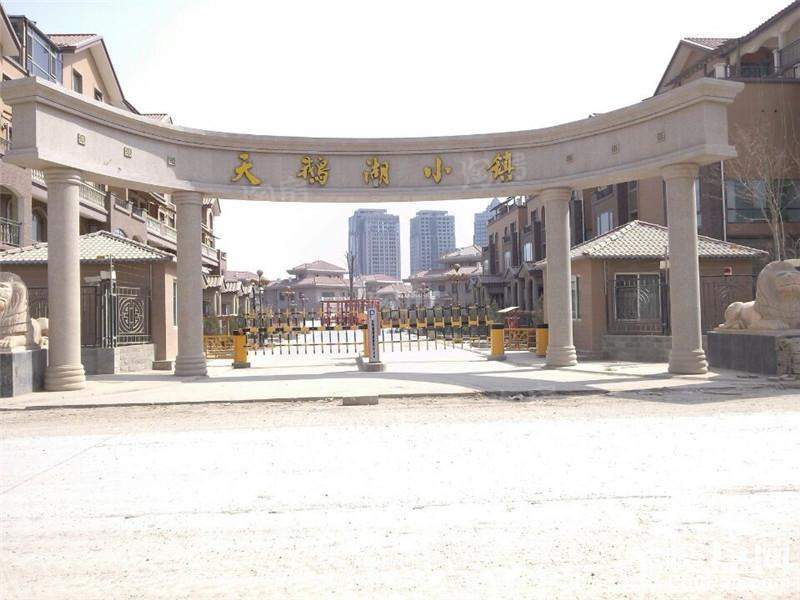 天鹅湖小镇实景图