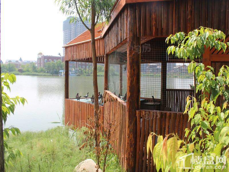 天鹅湖小镇实景图