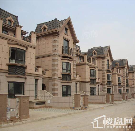 鸣翠湖城实景图
