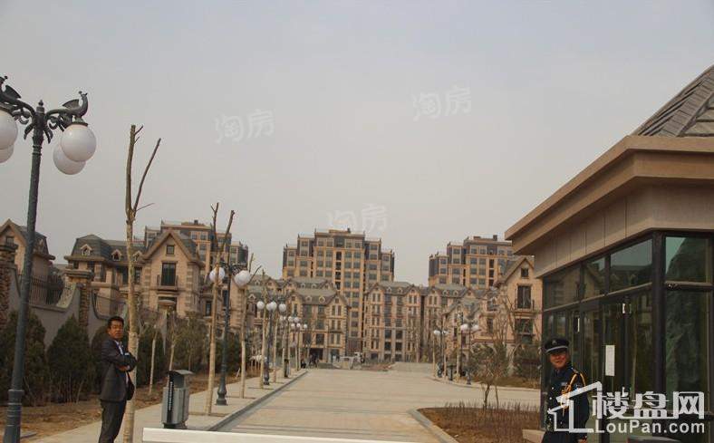 鸣翠湖城实景图