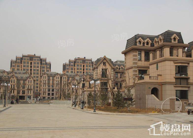 鸣翠湖城实景图