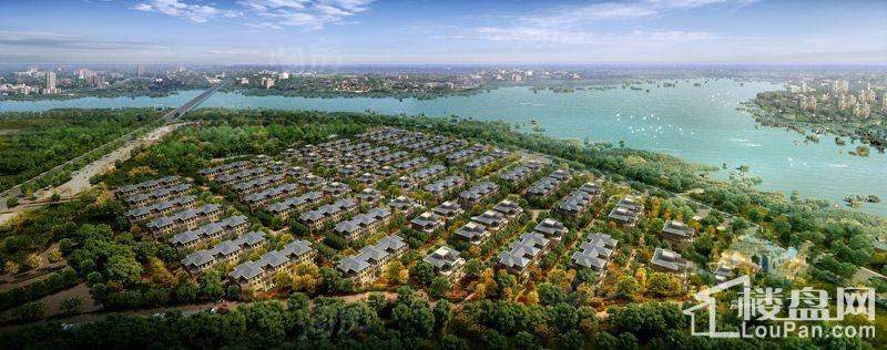 中海央墅效果图