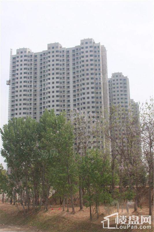 金景雅苑实景图