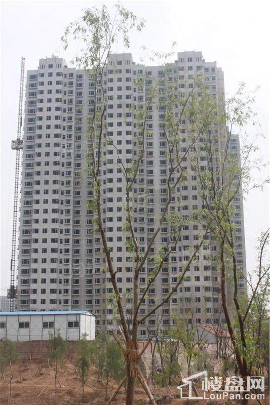 金景雅苑实景图