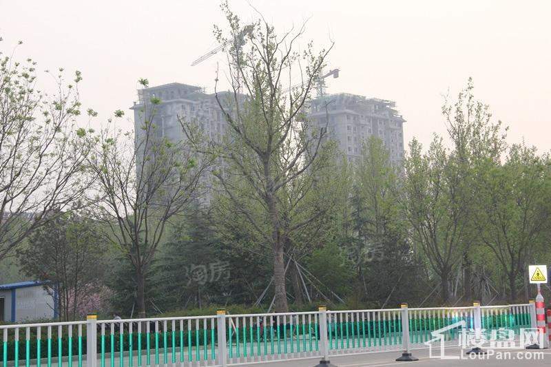 荔水湾实景图