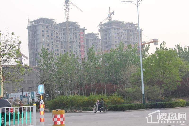 荔水湾实景图