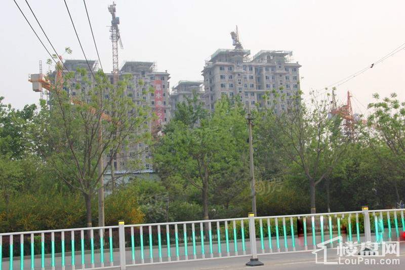 荔水湾实景图