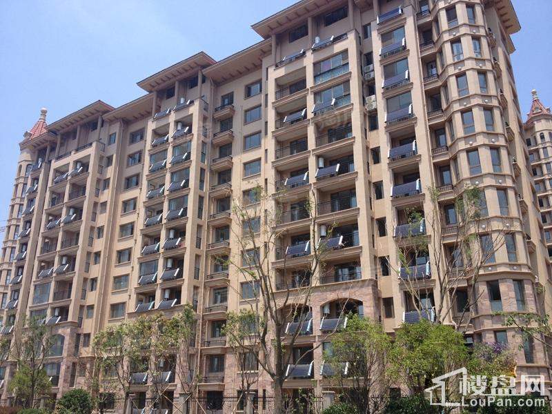 中南香堤雅苑实景图