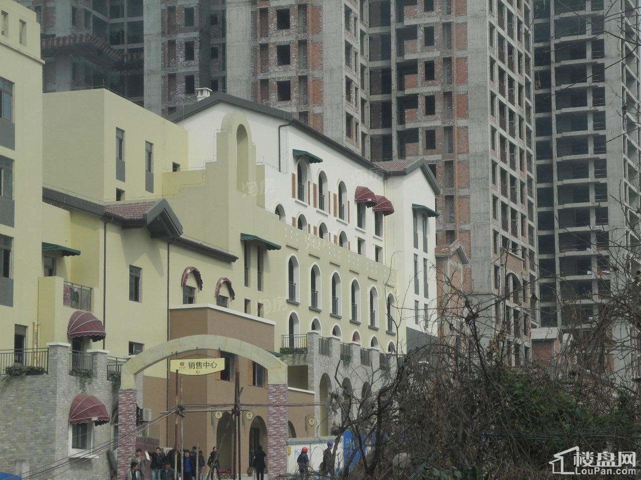 实景图