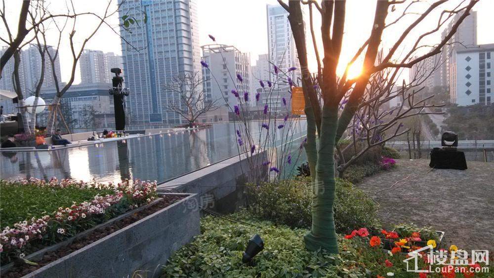 实景图