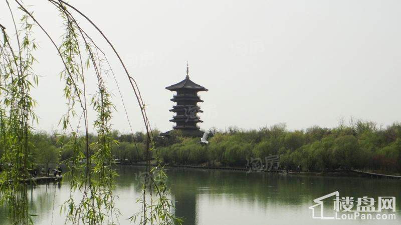 香颂湾实景图
