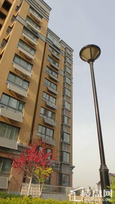 香颂湾实景图