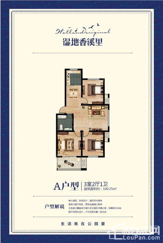 A户型