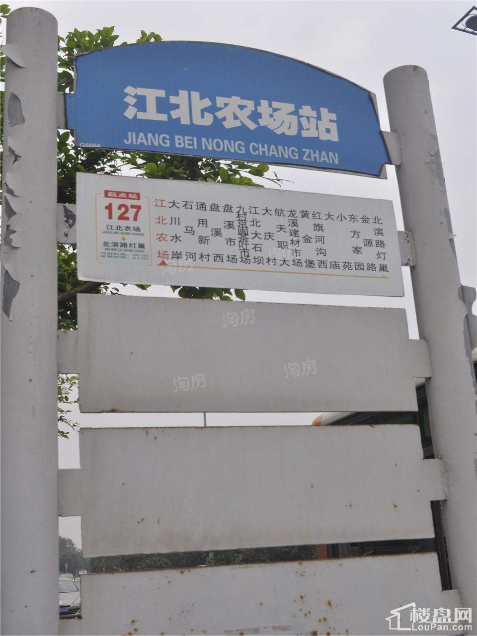 凤凰湾配套图