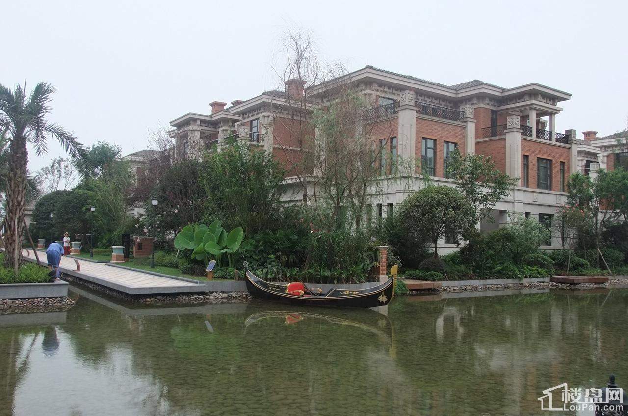 凤凰湾实景图